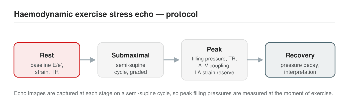 Haemodynamic exercise stress echocardiography protocol: rest, submaximal, peak and recovery stages on a semi-supine cycle.
