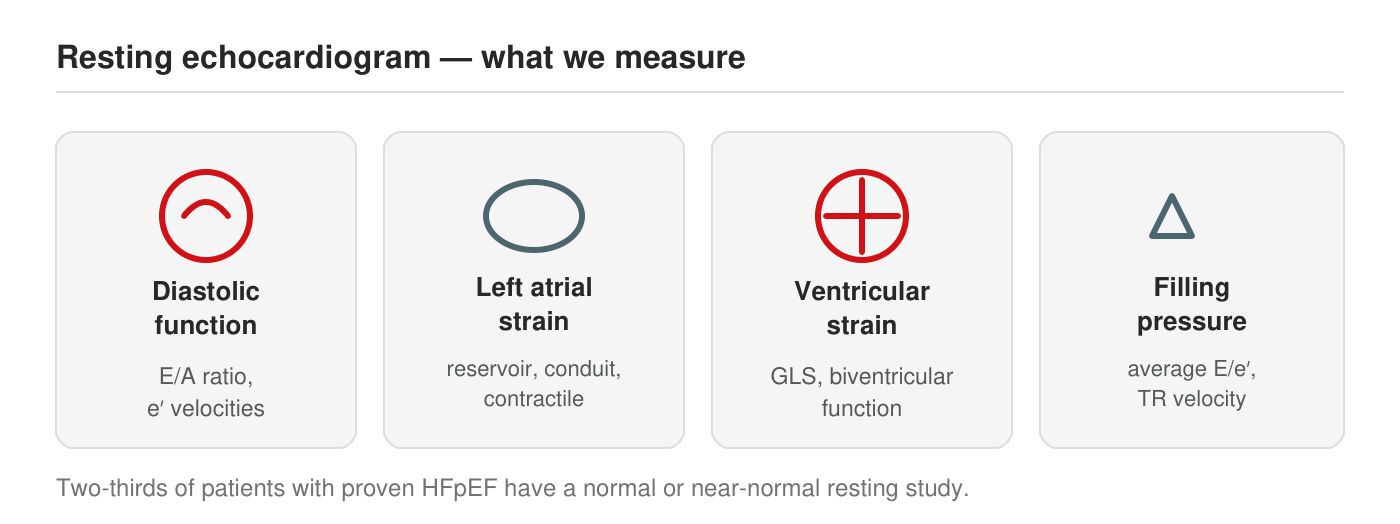 Resting echocardiogram in HFpEF: the four things measured — diastolic function, left atrial strain, ventricular strain and filling pressure.